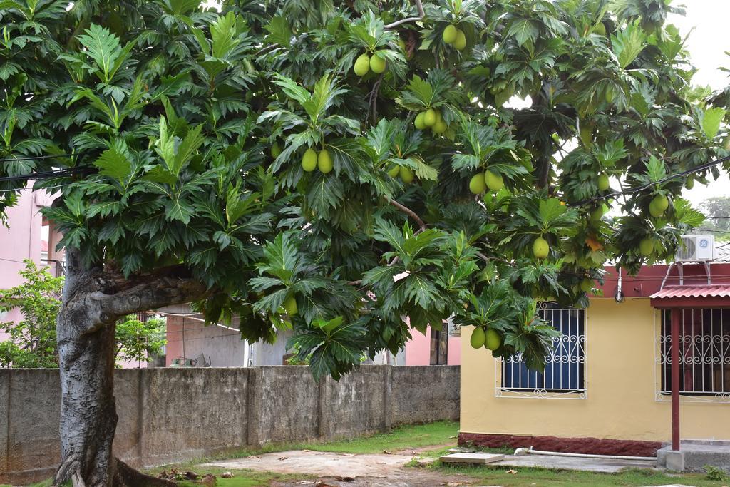 Posada James San Andrés Exterior photo